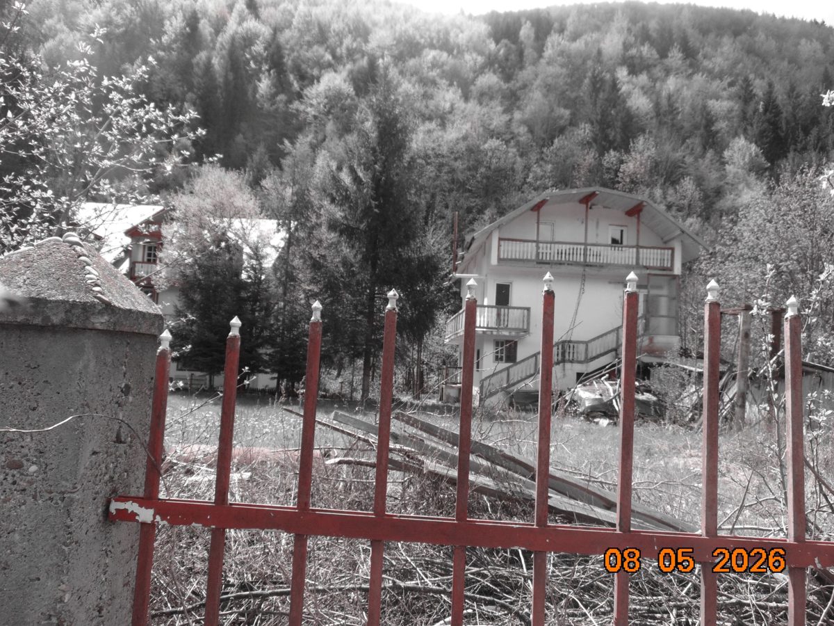 Miniatură 3