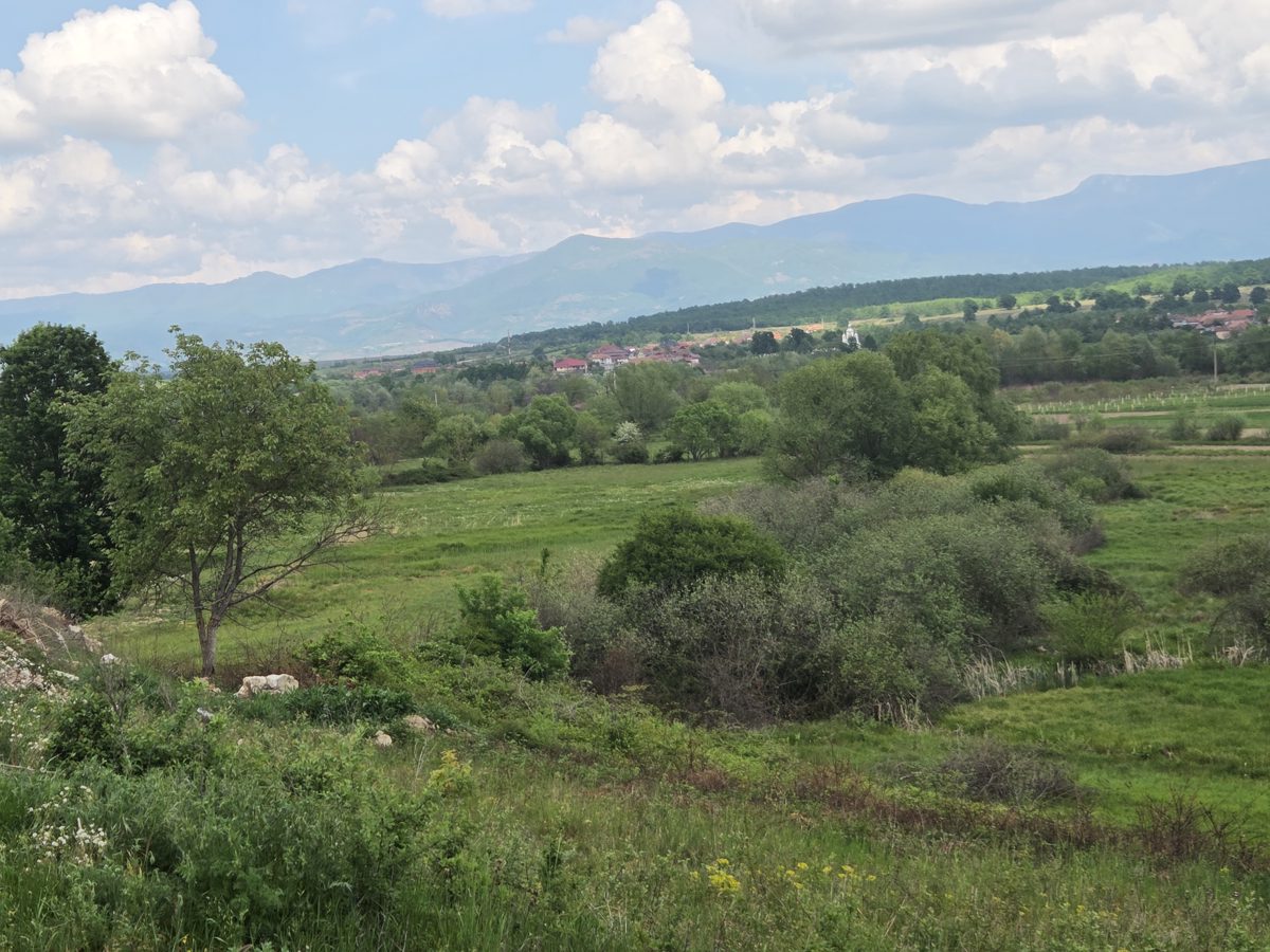 Miniatură 2