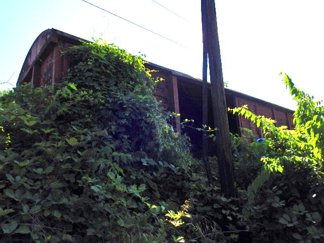Miniatură 3