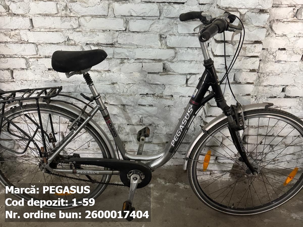 Bicicleta- Pegasus 1