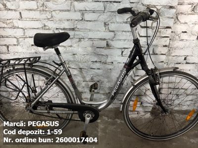 Bicicleta- Pegasus