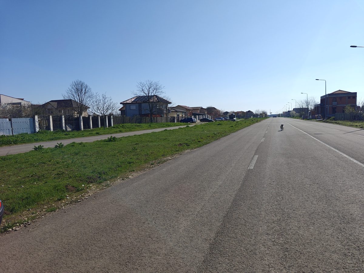 Miniatură 8