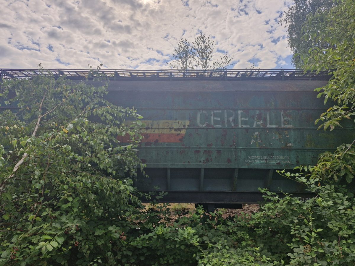 Miniatură 3