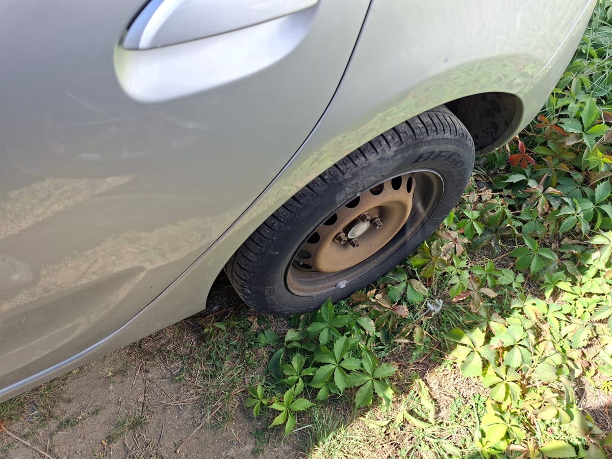 Miniatură 8