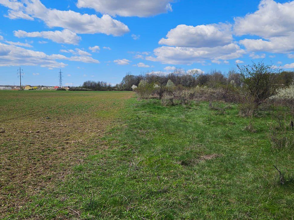 Teren agricol - INTRAVILAN 1