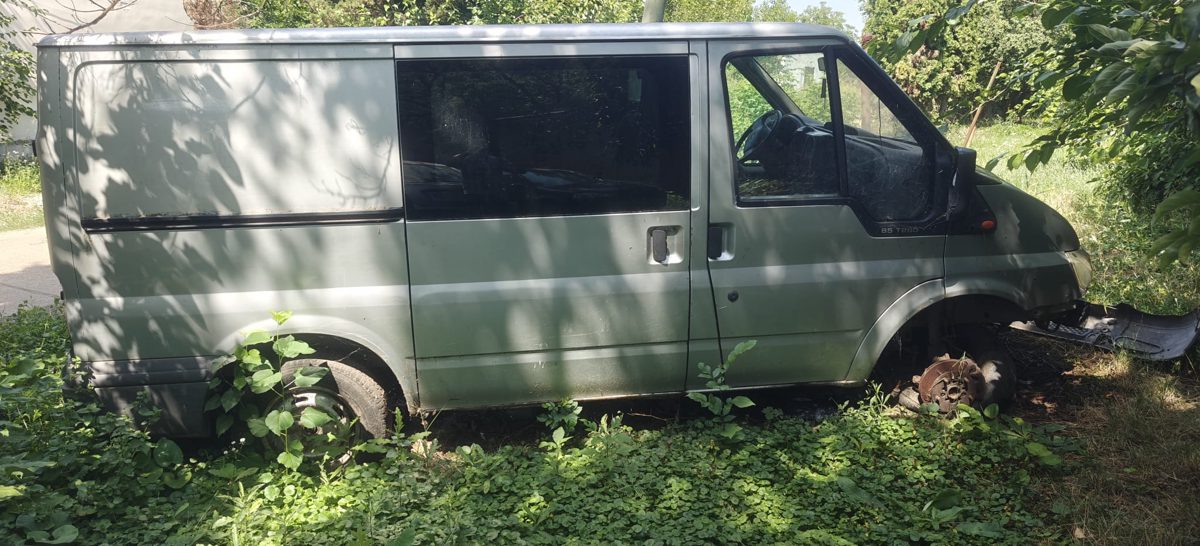 Miniatură 3