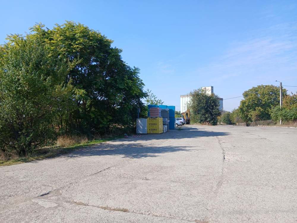 Miniatură 5