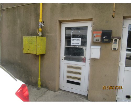 Miniatură 4