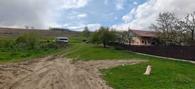 Teren agricol - in suprafata de 3600 MP