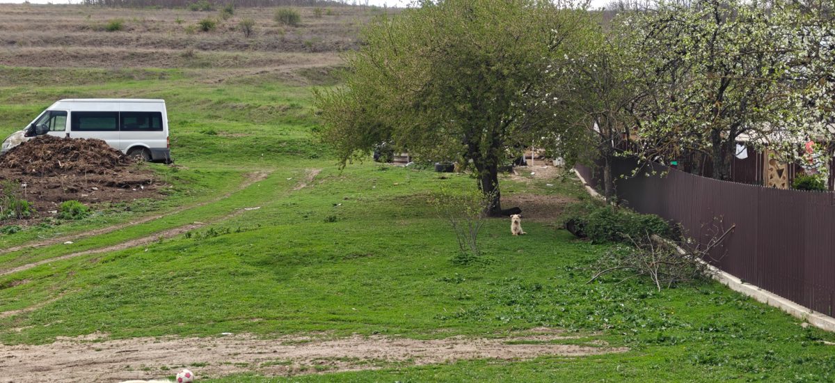 Miniatură 2