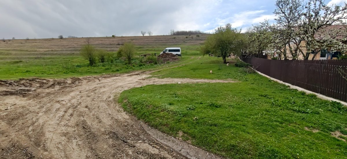 Miniatură 3