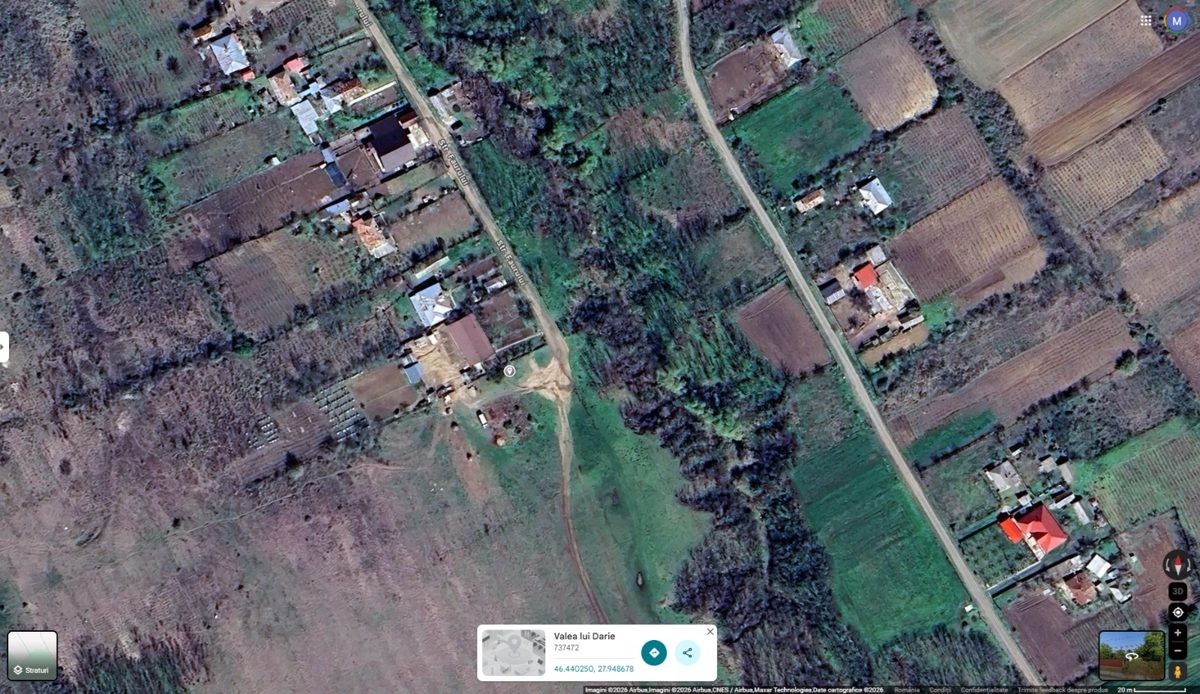 Miniatură 4