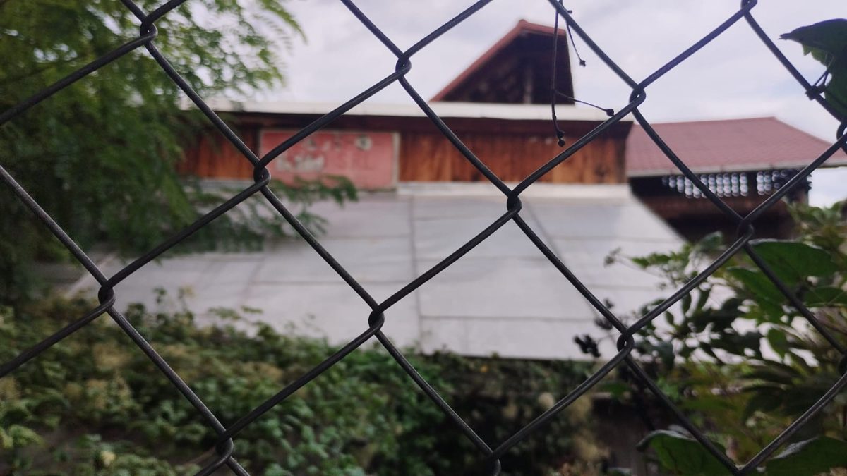 Miniatură 8