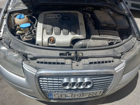 Miniatură 7