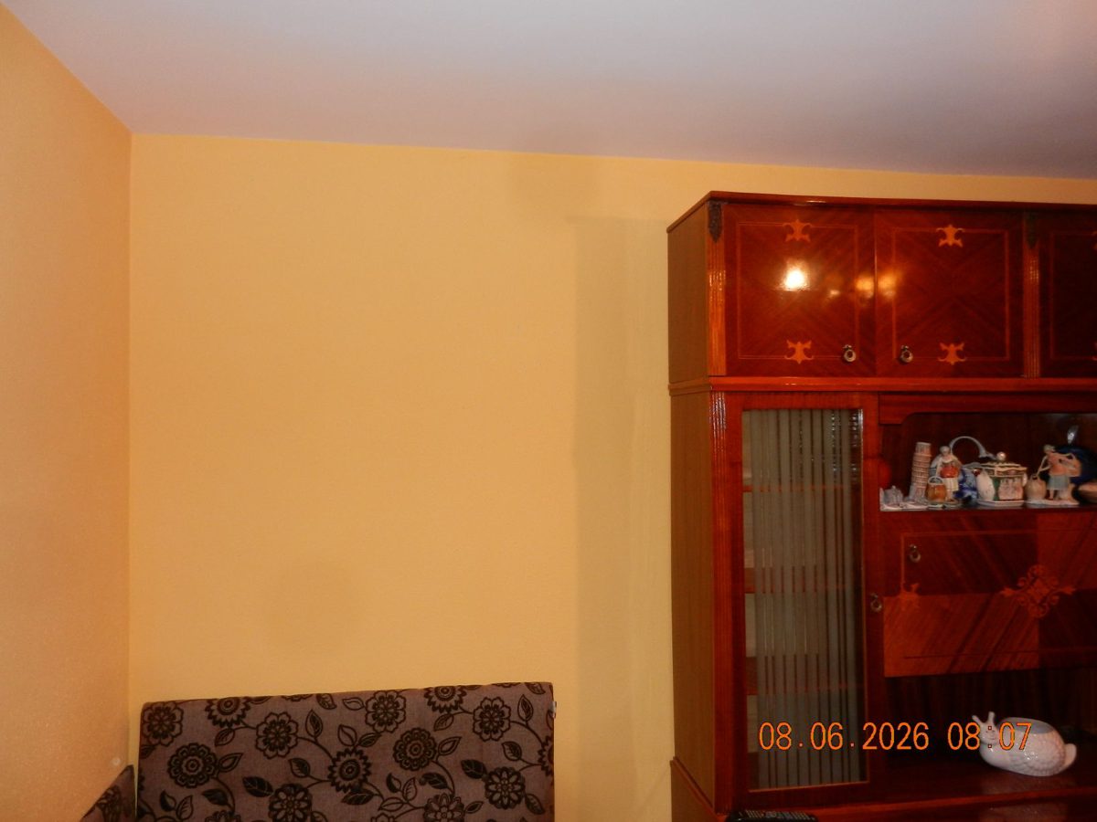 Miniatură 11
