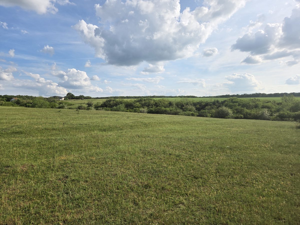 Teren agricol - in suprafata de 3640 MP 1