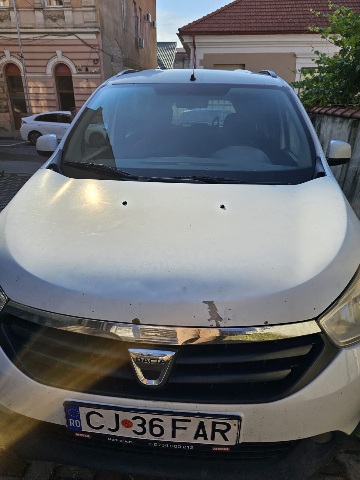 Miniatură 3
