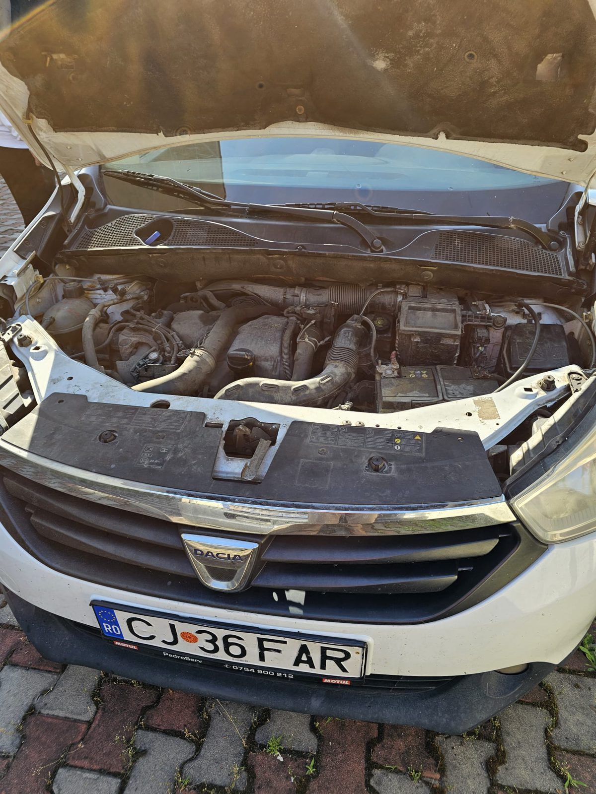 Miniatură 6