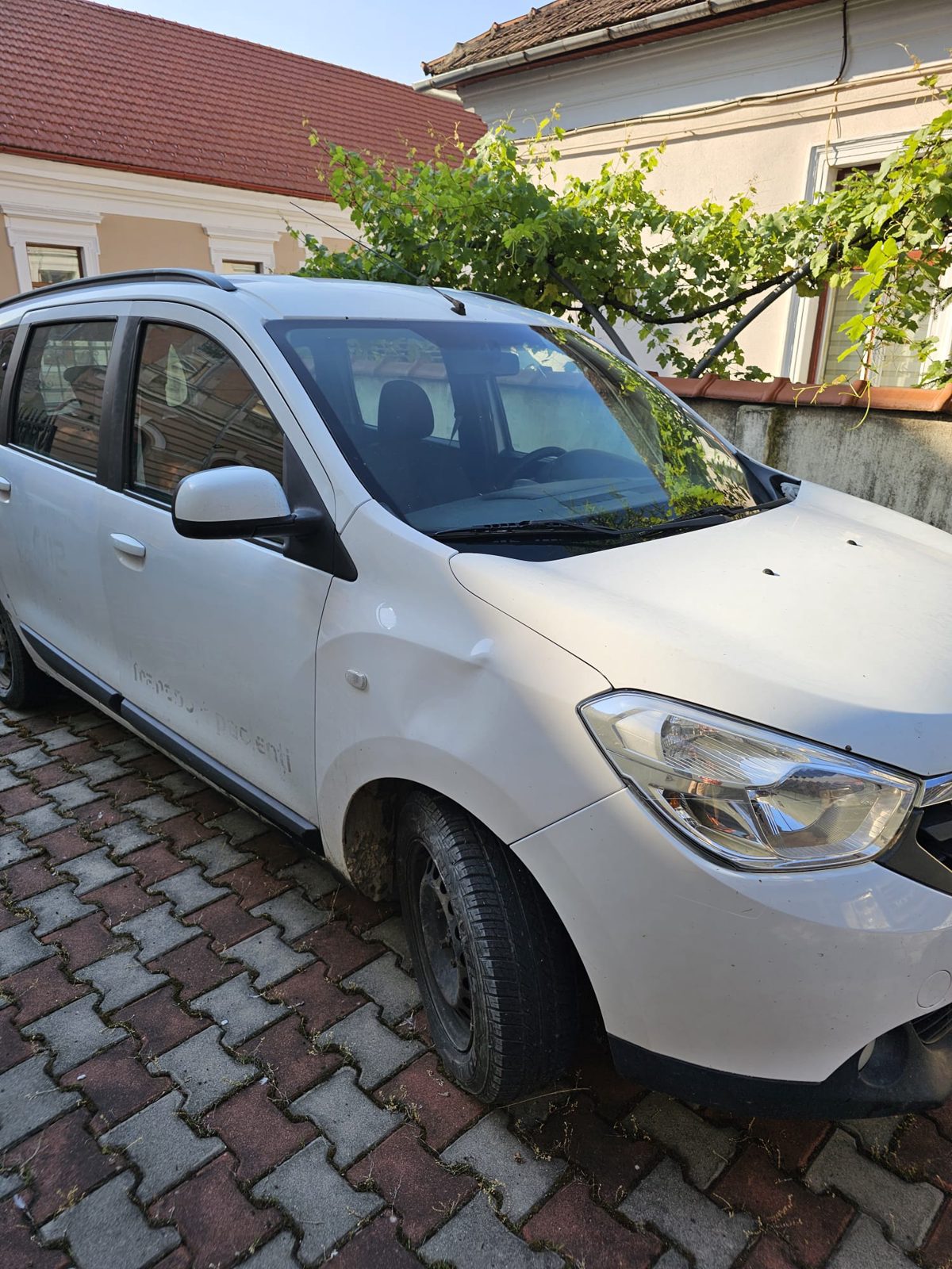 Miniatură 7