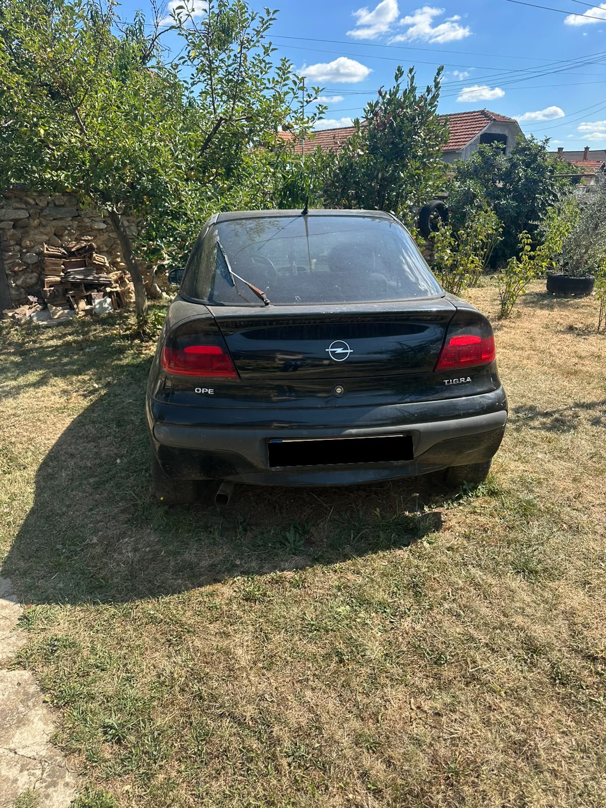 Miniatură 2