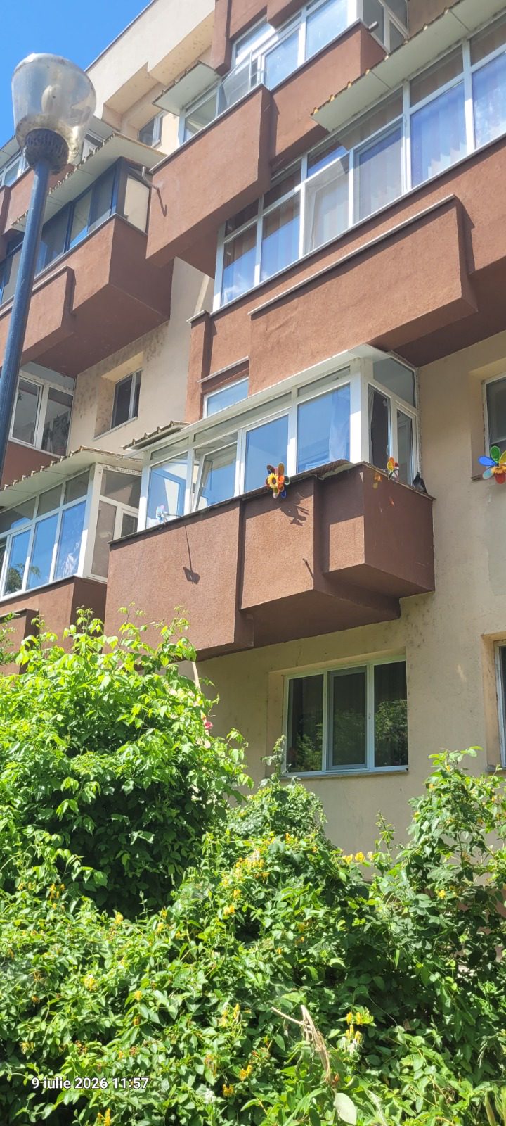 Miniatură 2