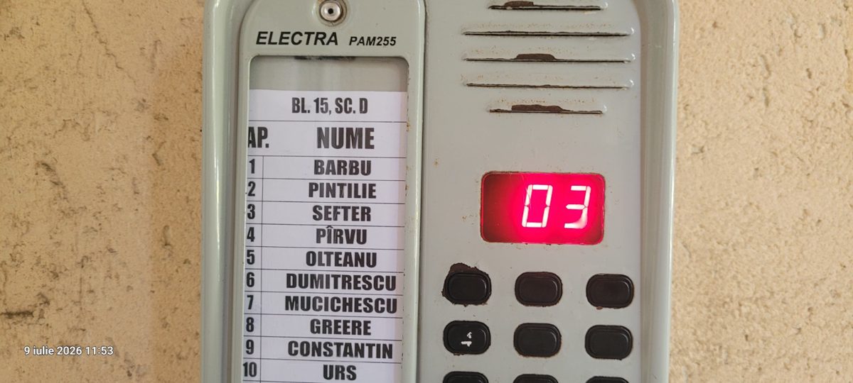 Miniatură 7