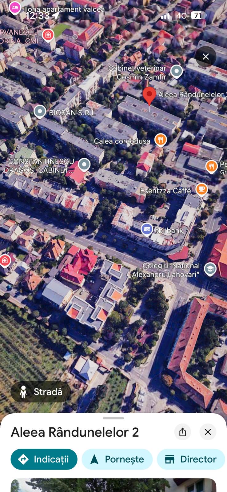 Miniatură 9