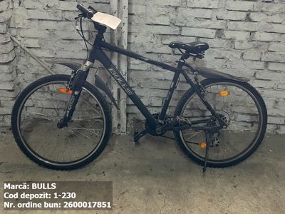 Bicicleta- Bulls