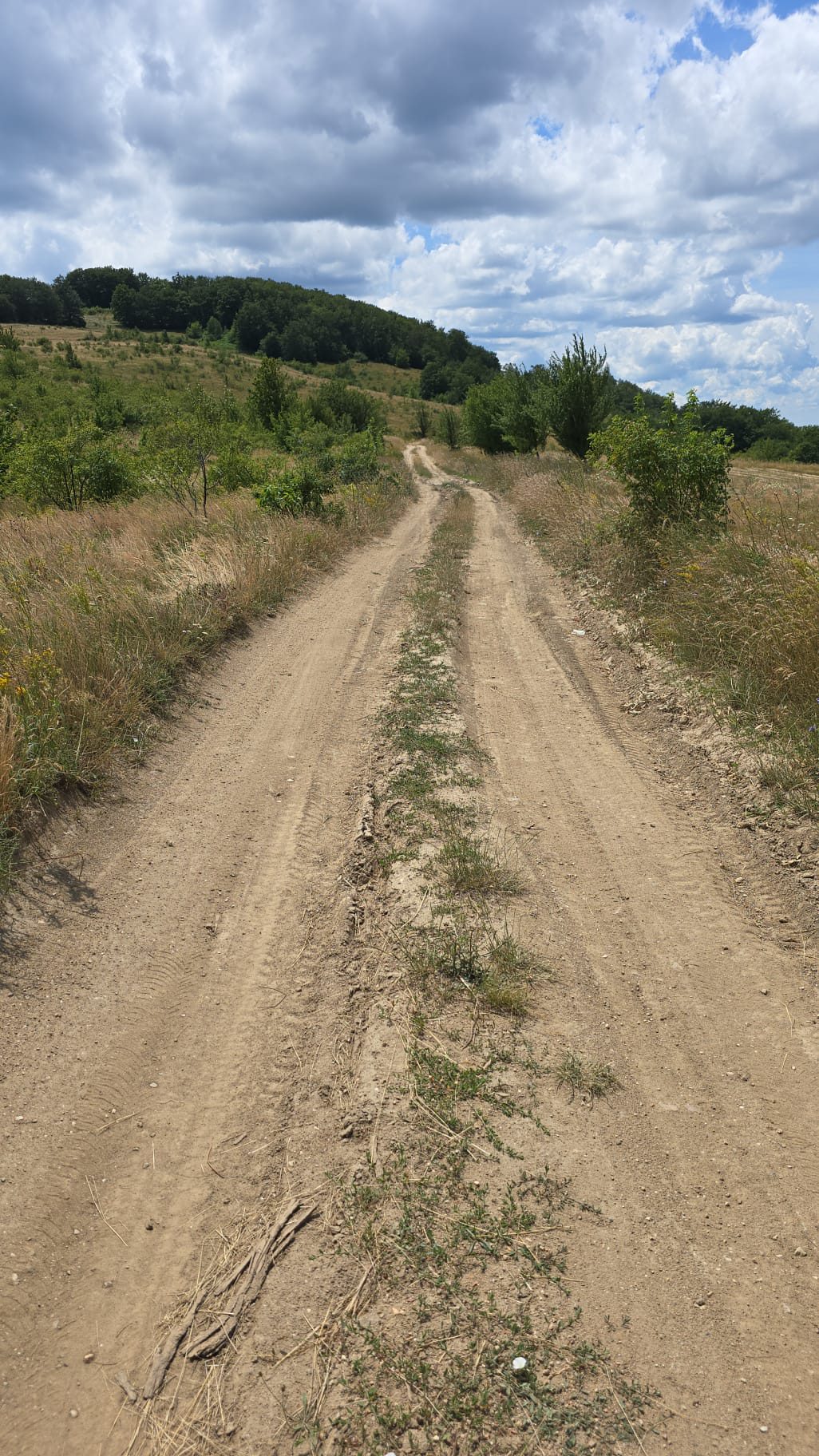 Miniatură 4