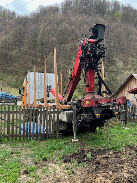 Miniatură 3