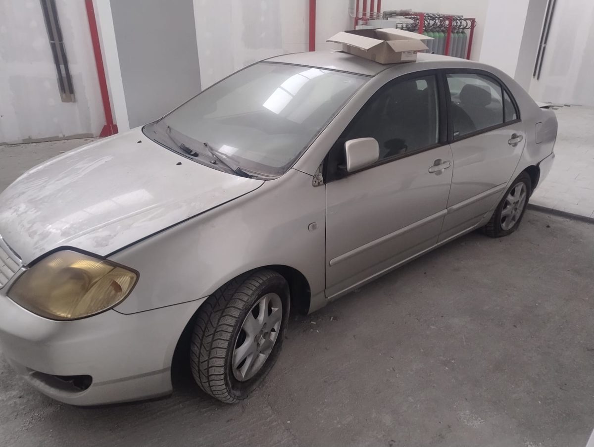 Miniatură 6