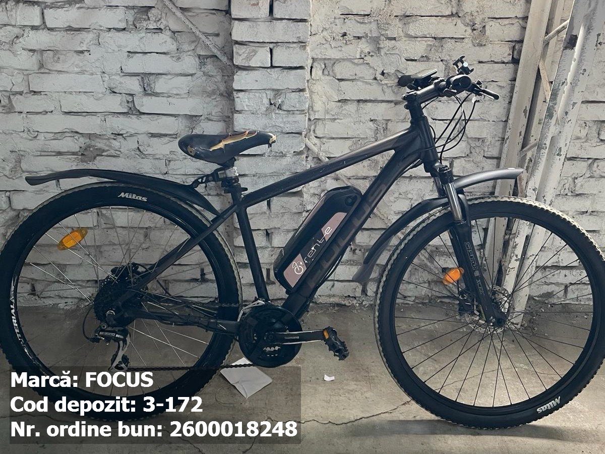 Bicicleta Electrica- Focus 1