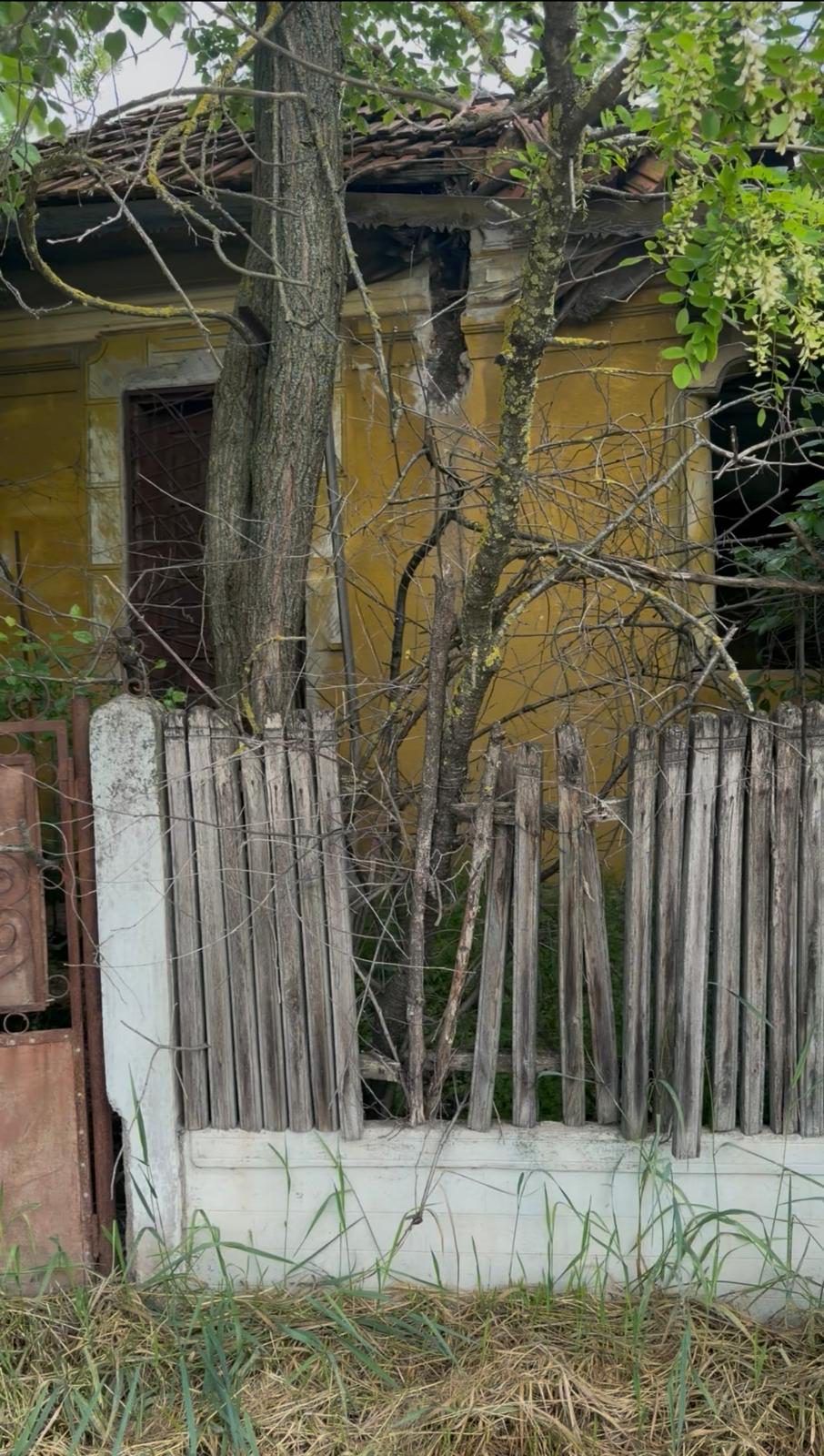 Miniatură 2