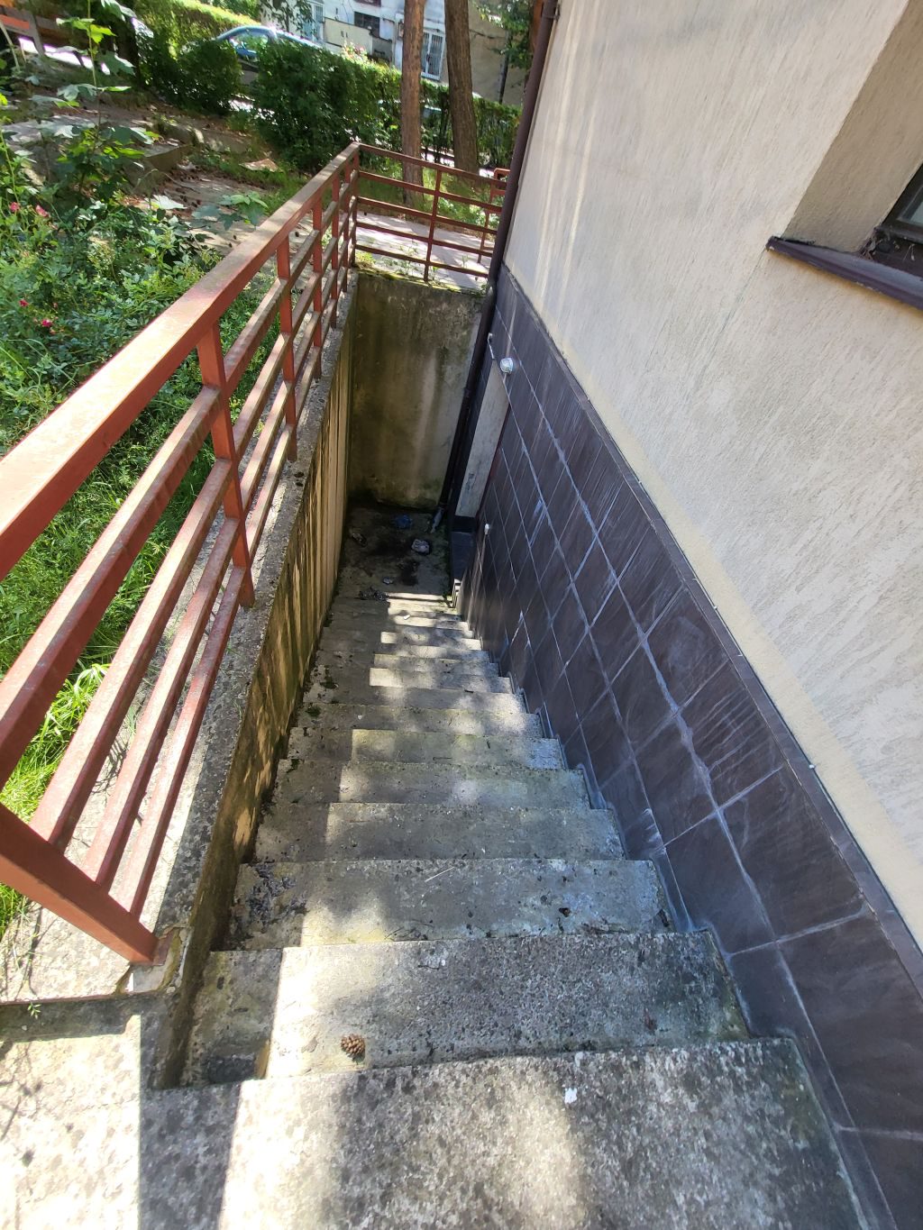 Miniatură 14