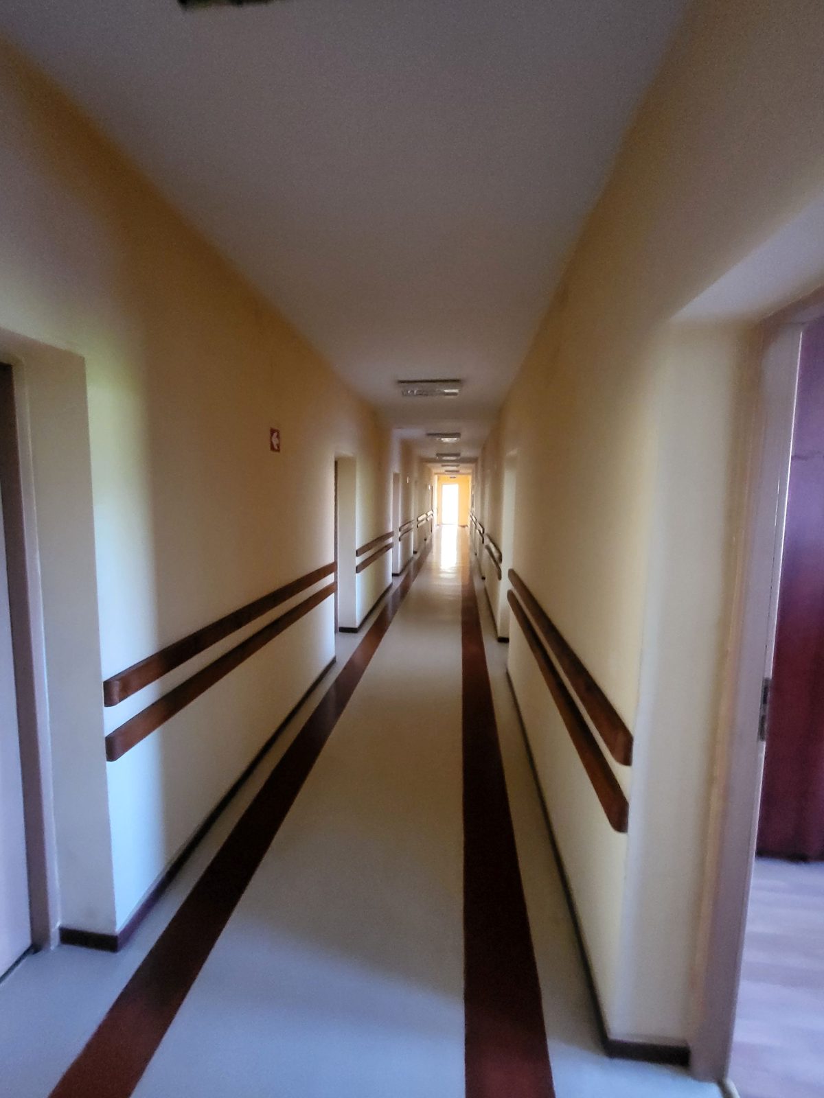 Miniatură 7