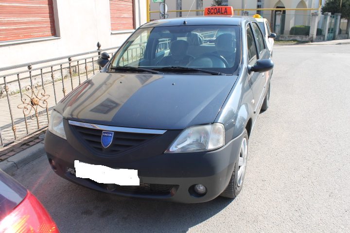 Miniatură 6