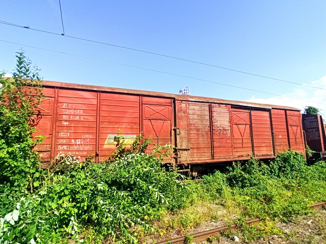 Miniatură 5