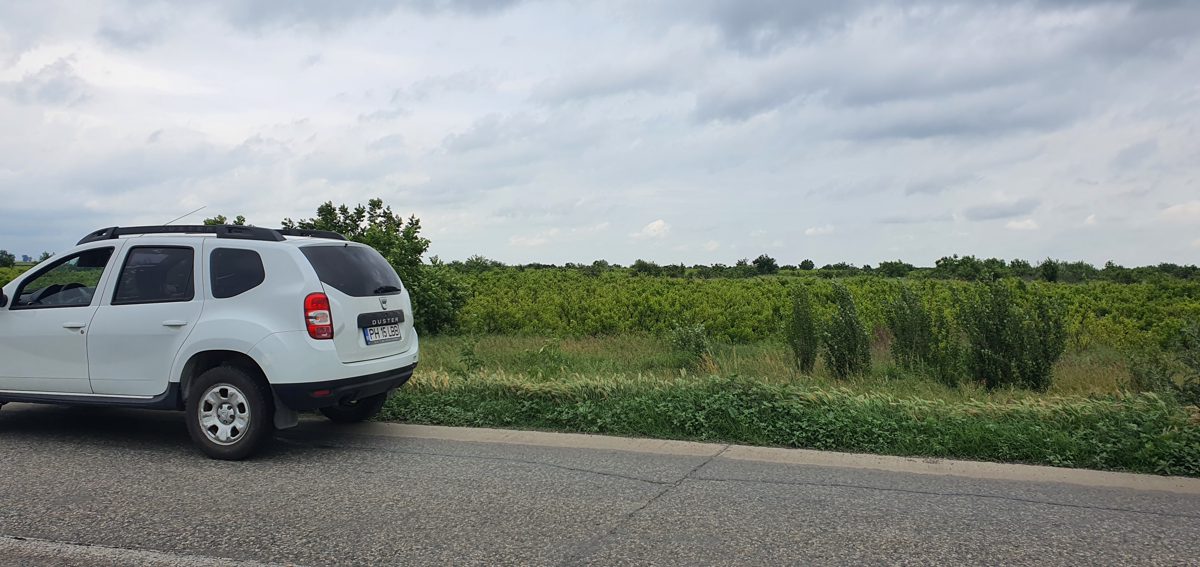 Miniatură 3