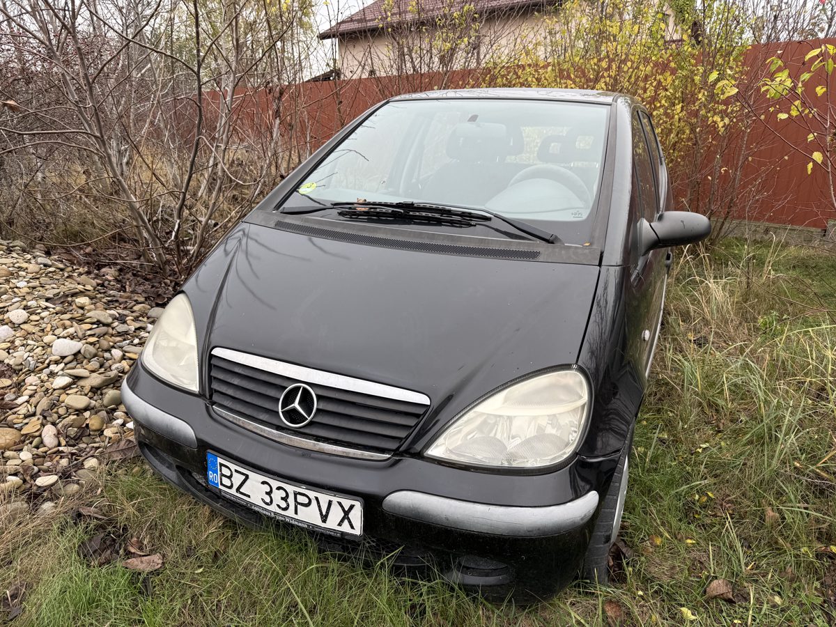 Miniatură 2