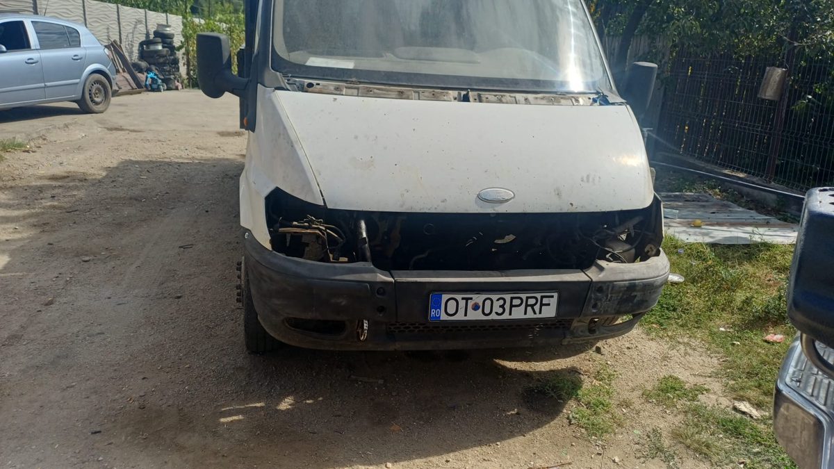 Miniatură 2