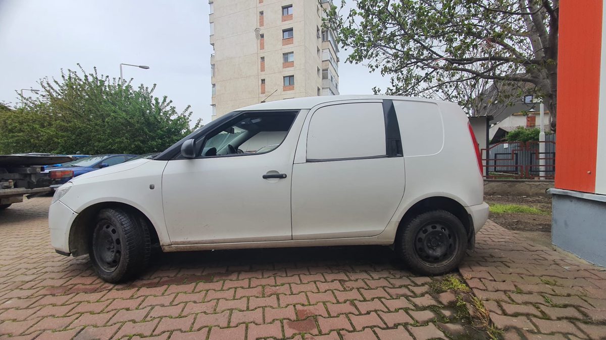 Miniatură 3