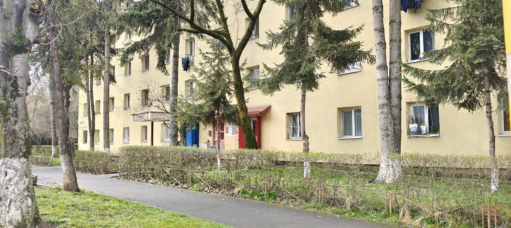 Miniatură 2