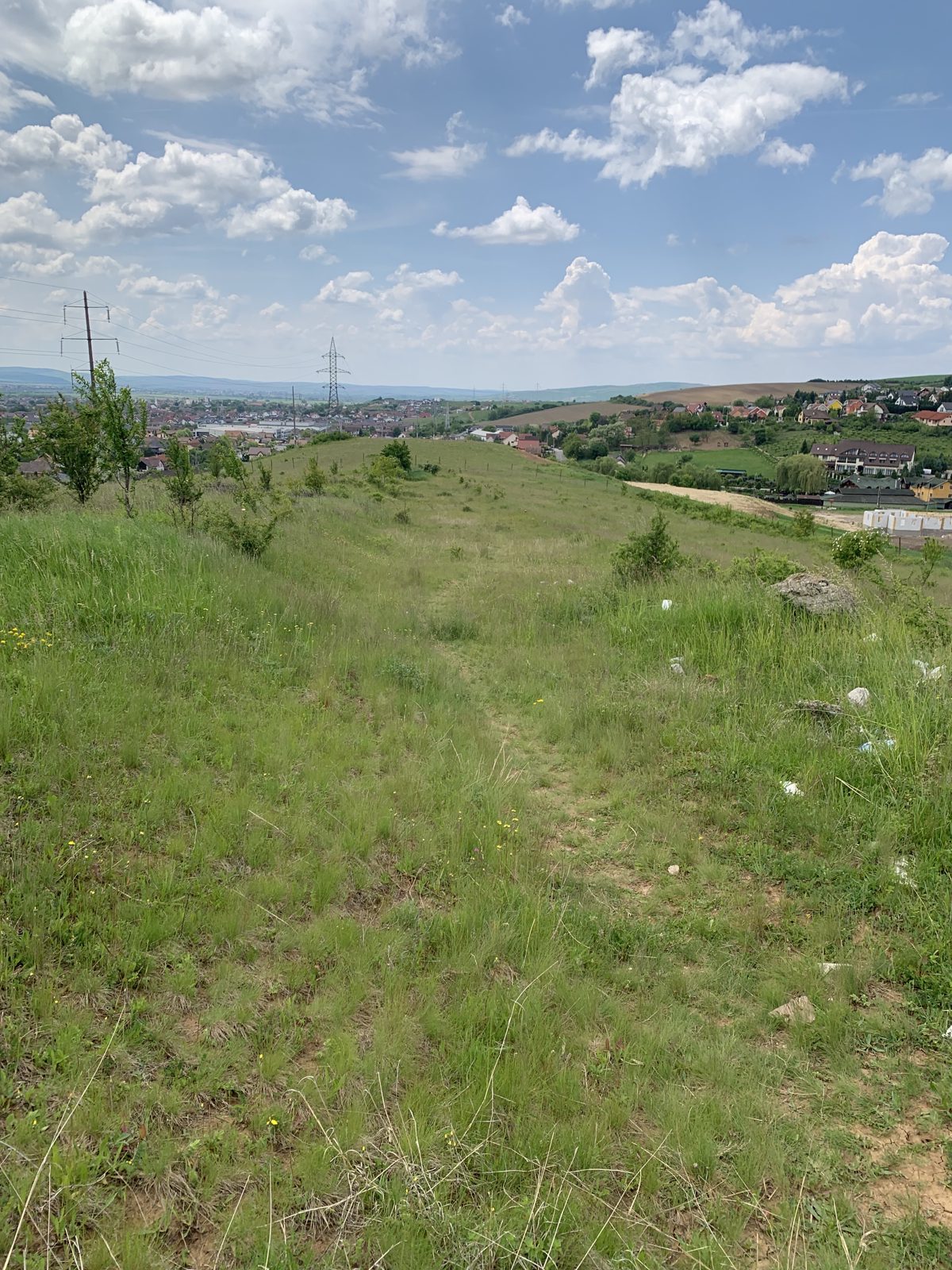 Miniatură 3