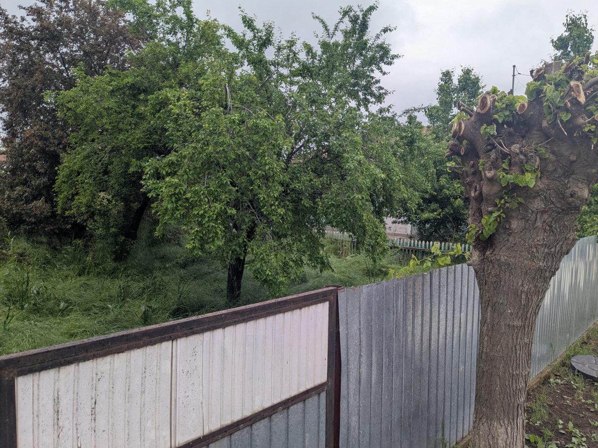 Miniatură 4