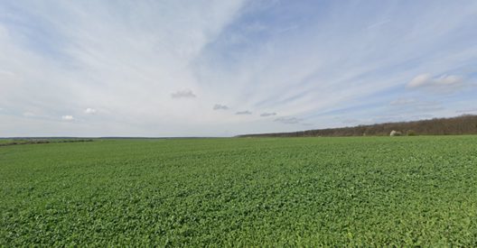 Teren agricol - in suprafata de 6900 MP 1