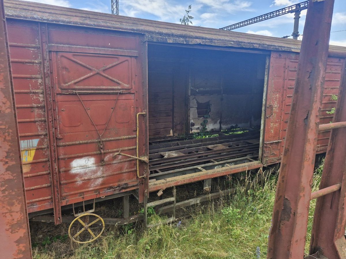Miniatură 3