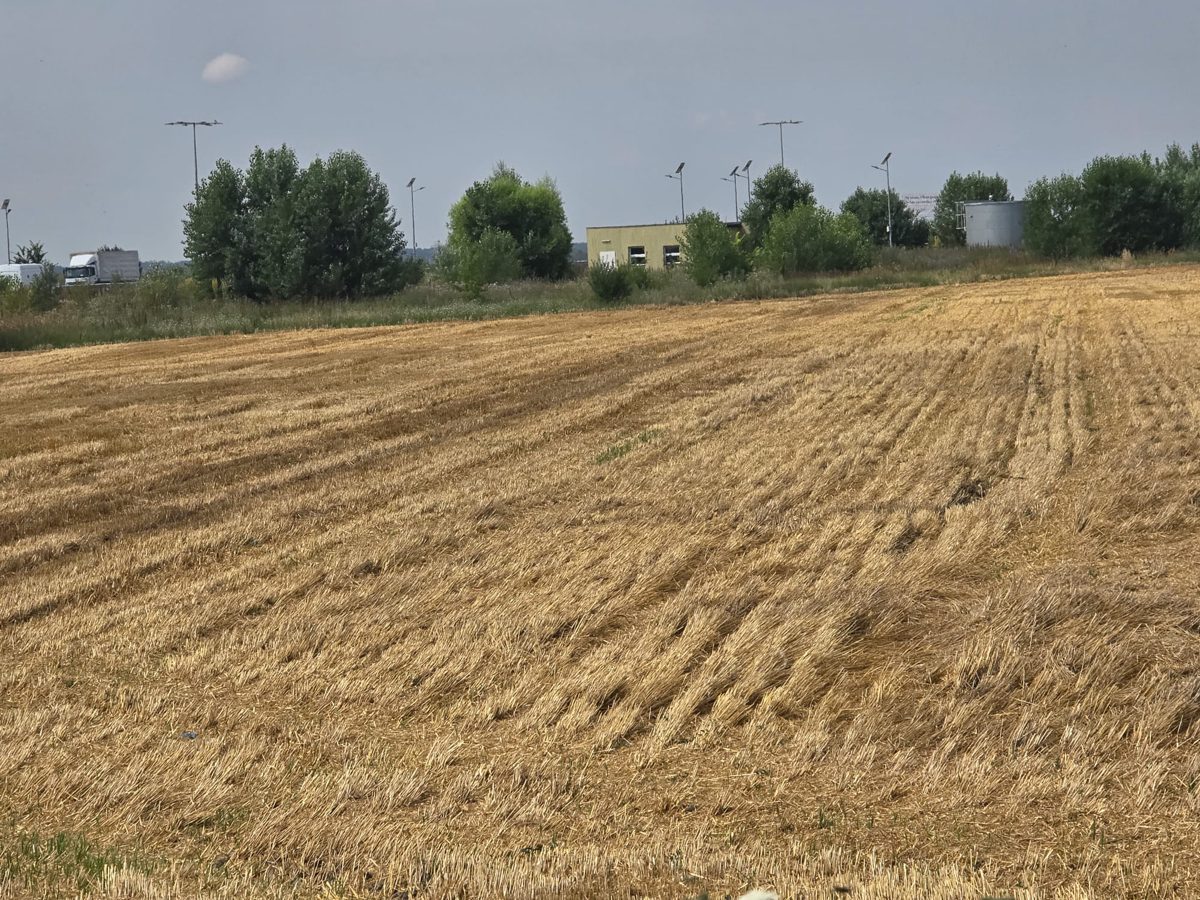 Teren agricol 1