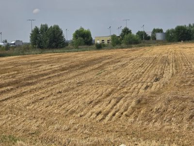 Teren agricol