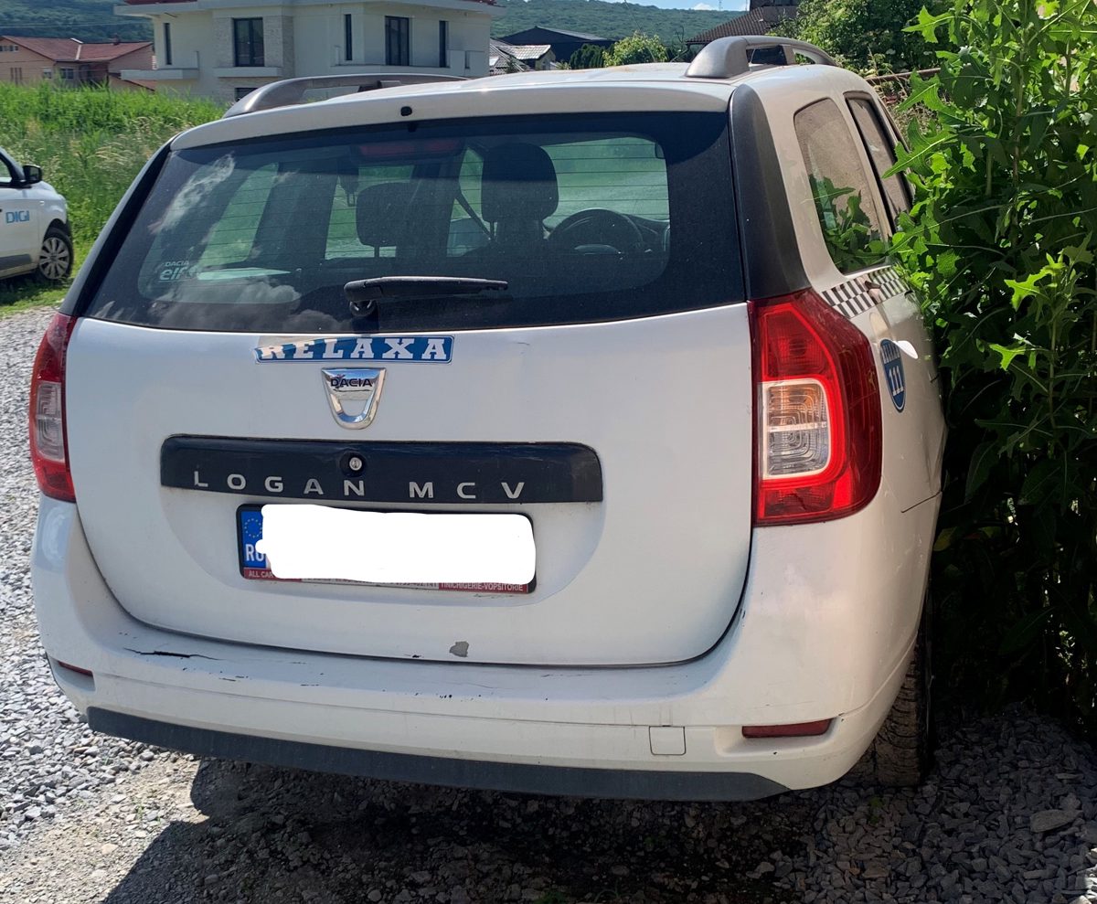 Miniatură 2