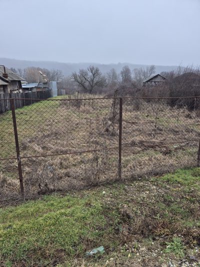 Teren agricol - in suprafata de 2500 MP